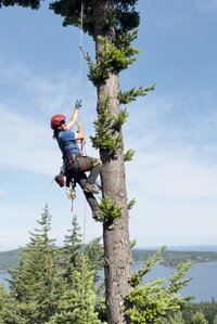 00 mixed days 01.jpg