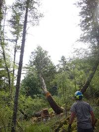 00 mixed days 04.jpg