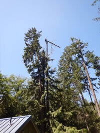 00 mixed days 07.jpg