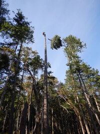 00 mixed days 08.jpg