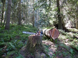 00 mixed days 09.jpg