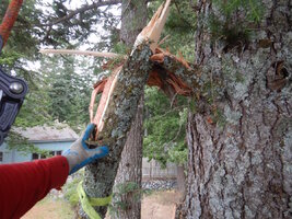 00 mixed days 10.jpg