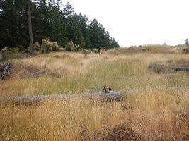 00 mixed days 13.jpg