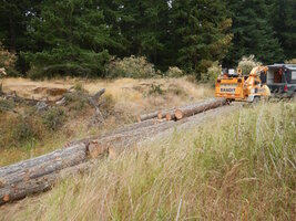 00 mixed days 15.jpg