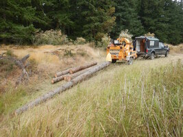 00 mixed days 14.jpg