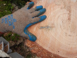 00 mixed days 16.jpg