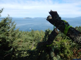 00 mixed days 17.jpg