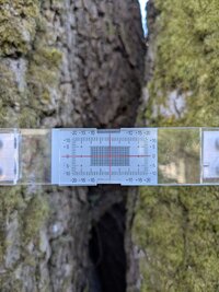 PXL_20250724_223114933.jpg PXL_20250724_223114933.jpg