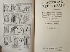 20231017_152554 (2023-10-19T02_33_05.962).webp