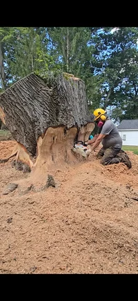 Screenshot_20250909_221148_Video Player.webp