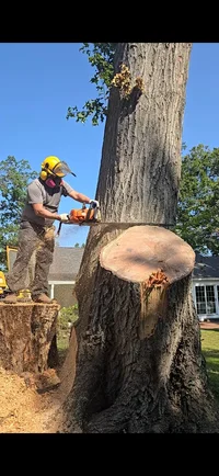 Screenshot_20250914_171446_Video Player.webp