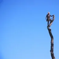 james@affinityfortrees