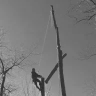 Deadwood