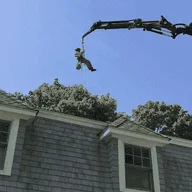 MA Arborist