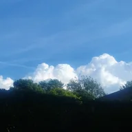lookingup