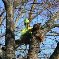 bwktreeserv