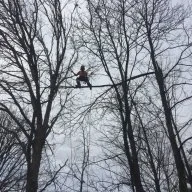 Reliable tree man
