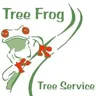 Tree_Frog