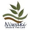 Niwaki Tree & Shrub