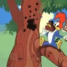 Woody Woodpecker