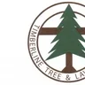timberlinetree