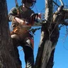 climbstihl