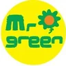 mrgreenservices