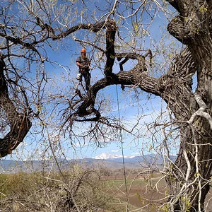 IMG_20150410_105956026