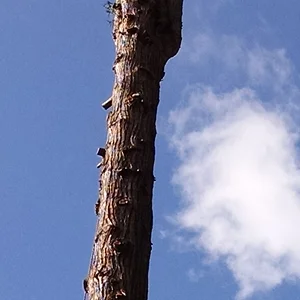 IMG_20150408_164525647