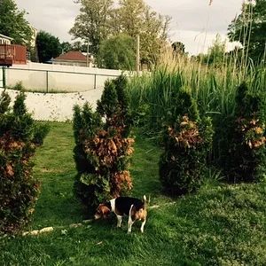 FullSizeRender[1] (2)