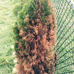 FullSizeRender[3] (2)