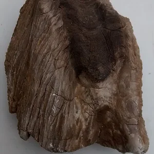 IMG_20150604_110608167