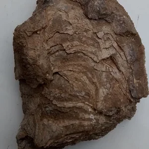 IMG_20150604_110618394