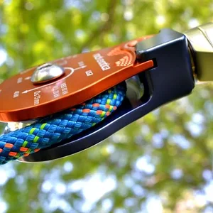 Rock Exotica P55 2.6