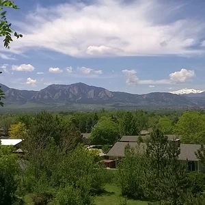 Boulder from locust tree