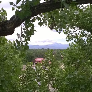 Longs Peak from cottonwood