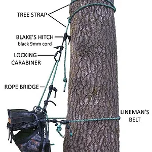 Tree Strap And Lineman's Belt Image