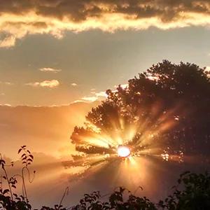 IMG_20151029_073430008_HDR