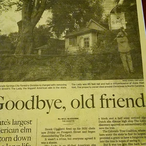 IMG_20150317_190524092