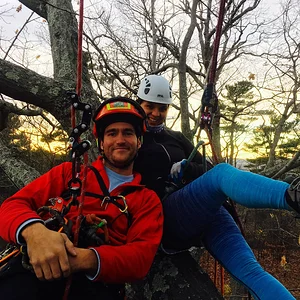 Oakledge throw line tree