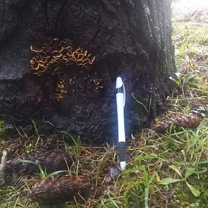 IMG_20160116_125817803[2]