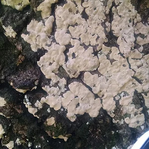 IMG_20160116_125944365[1]