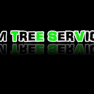 Back Cut - Johnny Misita - JM Tree Service - YouTube