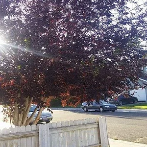 Received_1762744494011654