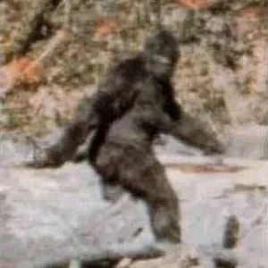 Bigfoot