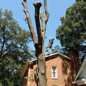 NOwXcg_9yH_B74tPtNGgbXNRSFE3VJj7aVzpnnY79fi3mM7jsl6YrkTJyXbqQvJQI7iaSly4LwQ=w1680-h1050-no