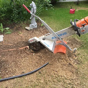 Little stump Grinder