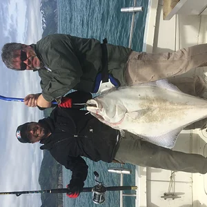 Halibut fishing 2016