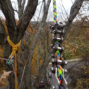 Media '20171114_105103' in category 'Tree Climbing'