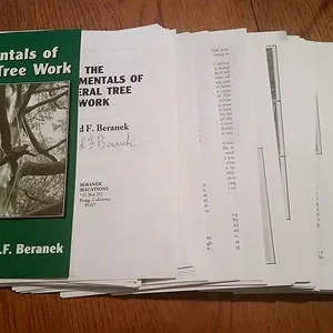 Fundamentals Laid Out - Small